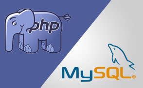 Example of HTML MySQL PHP 的图像结果