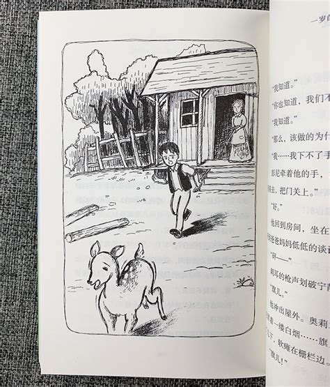 《国际大奖儿童小说(全10册)》 - 淘书团