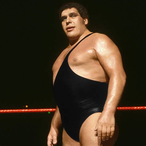 André the Giant (Wrestling) - TV Tropes
