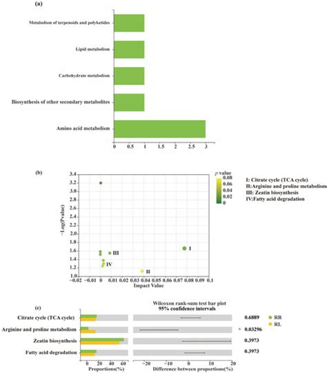 Microorganisms | Special Issue : Advances in Plant-Microbe Interactions