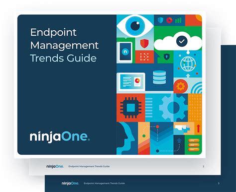 Endpoint Management 的图像结果
