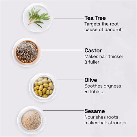 Tea Tree Oil for Hair – Best Anti Dandruff Oil For Healthy Scalp ...