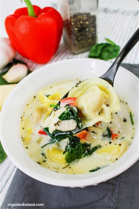 Easy Chicken Alfredo Soup with Tortellini Recipe - Organized Island