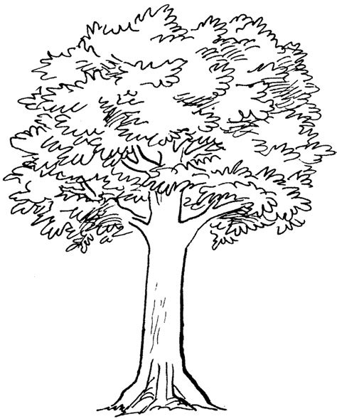 Image result for Simple Tree Line Drawing