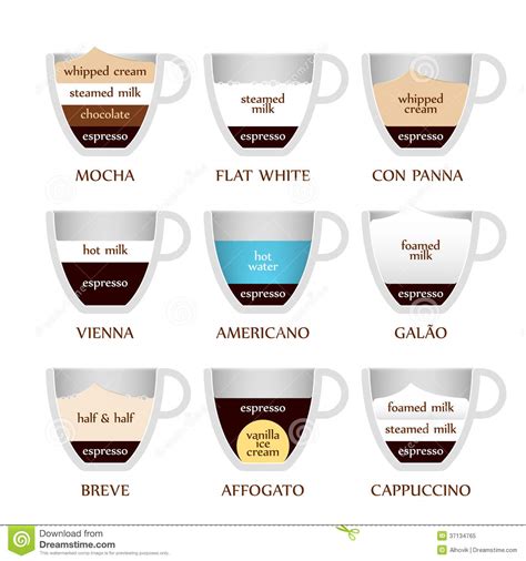 咖啡类型 向量例证. 插画 包括有 美食, 杯子, 混和, 调味, 咖啡, 类似, 打赌的人, 自助餐厅 - 37134765