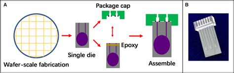 Image result for Shell Case Microchip Packaging