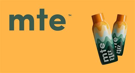 Image result for mte