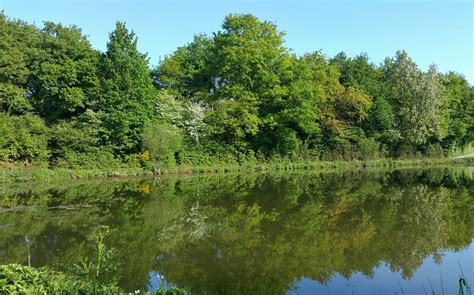 PARC DES GAYEULLES - All You Need to Know BEFORE You Go 2026 (with ...