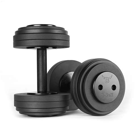 Buy BullrocK Machined Steel E250 Pro 50 Kit T-Rex Adjustable Dumbbells ...
