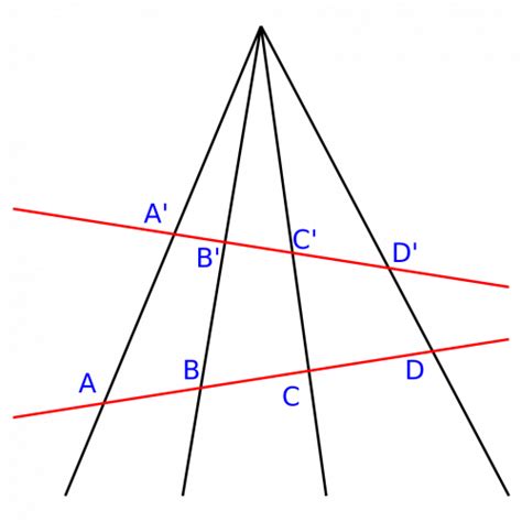 Image result for Geometry Quiz