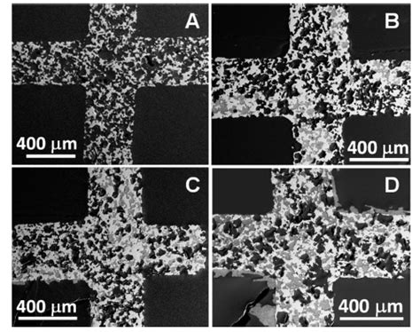 Image result for DPF SCR