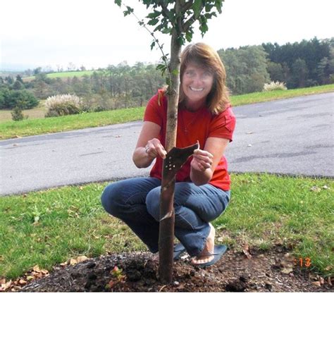 Image result for Tree Armor