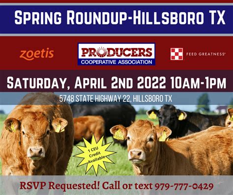 Image result for Spring Roundup