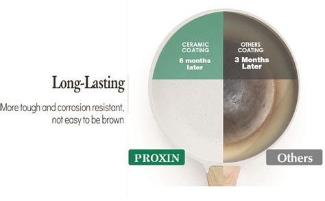 Buy proxin Nonstick Ceramic Frying Pan Skillet with Lid, 9.5 Inch ...