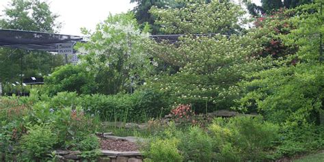 Nursery and Demonstration Garden Tours 2024, 2415 Route 100,Orefield ...