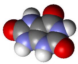 URIC ACID , OXIDATION OF PURINES – CAPT AJIT VADAKAYIL – CAPT AJIT ...