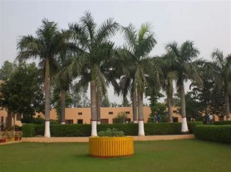 Swami Premanand Mahavidyalaya: Admission 2026, Fees, Rankings, Hoshiarpur