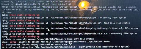 Image result for Win32 Loader Kali Linux Problem Solve