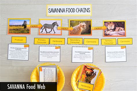 Savanna Food Web and Food Chains Learning Resources | The Pinay ...