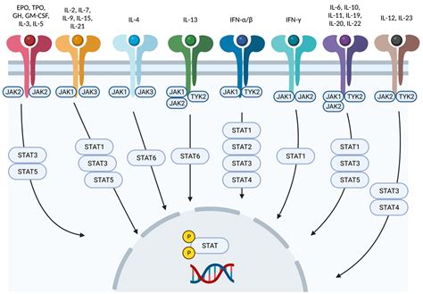 STAT | A decade of reporting from the frontiers of health and medicine