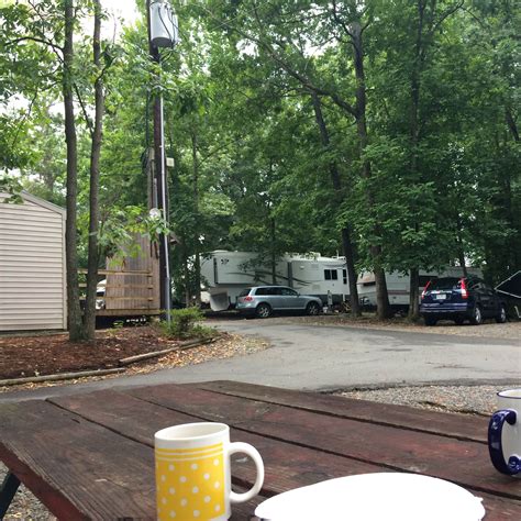 Misty Mountain Camp Resort Camping | The Dyrt