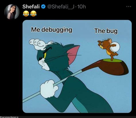 Image result for Debug Memes