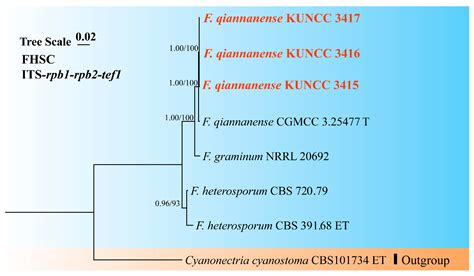 Phylogenomic, Morphological, and Phylogenetic Evidence Reveals Five New ...