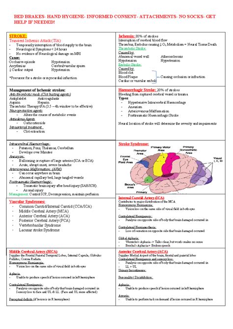 Rehab Cheat Sheet: Stroke Management & Assessment (BED 479553479) - Studocu