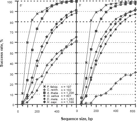 Image result for Simple Coding Frame Example
