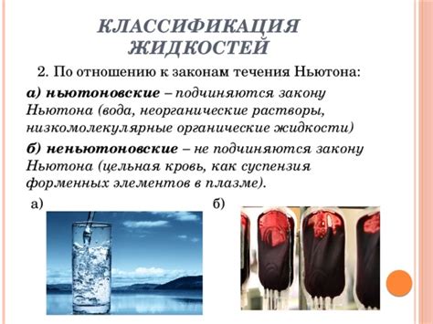 Проектная работа по теме: "Неньютоновская жидкость"