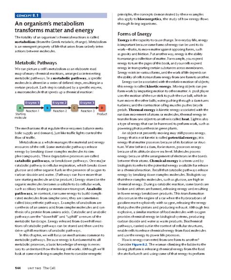 Campbell Biology 12th Edition: Chapter 8 - Metabolism and Bioenergetics ...