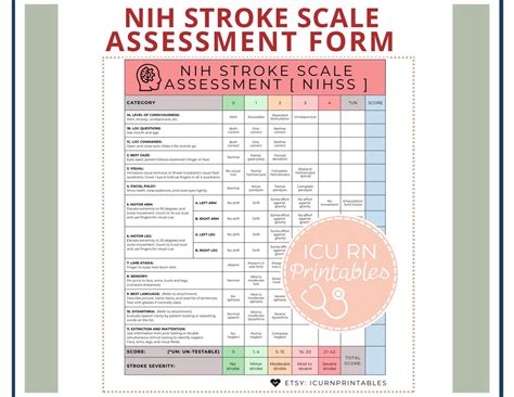 NIH Stroke Scale Assessment Form [ NIHSS ] | Printable PDF Download - Etsy