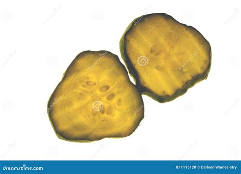 Pickle Slices stock photo. Image of food, tasty, butter - 1115120