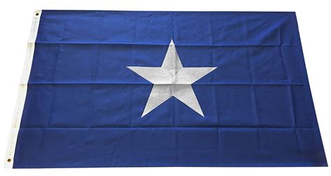 Bonnie Blue Flag