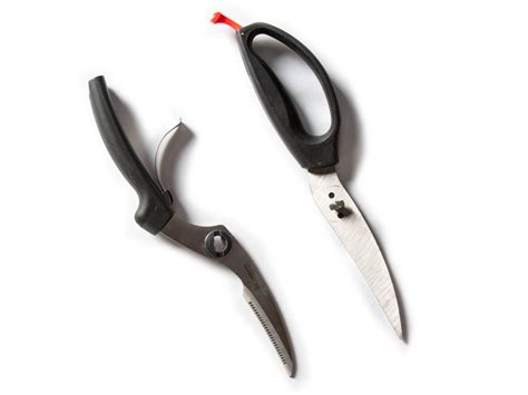 The Best Poultry Shears of 2022