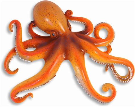 Image result for Octopus Metaheuristic Algorithm
