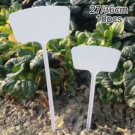 Plant Markers, Blank | Ubuy India