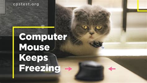 Image result for How to Fix Frozen Computer Mouse