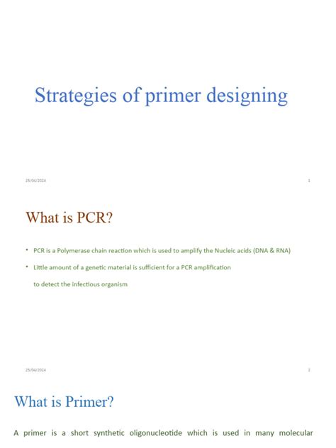Primer Design Step by Step 的图像结果