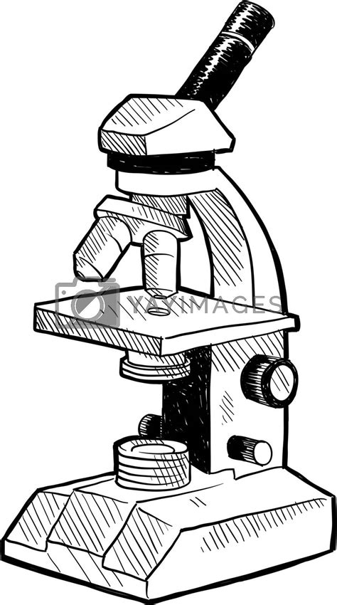 Laboratory microscope sketch by lhfgraphics Vectors & Illustrations with Unlimited Downloads ...