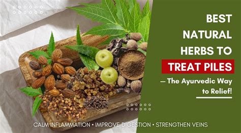 The Best Natural Herbs to Treat Piles and Hemorrhoid Discomfort | Varah ...