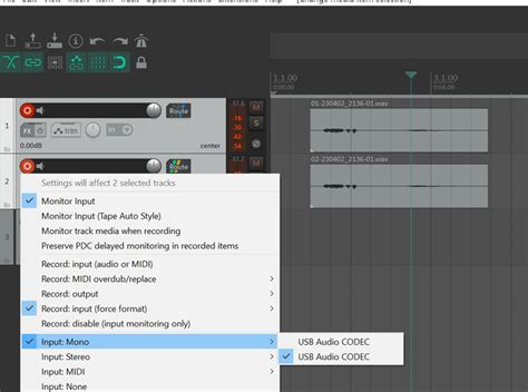 Image result for Reaper Dynamic Split