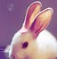 Image result for Green Cute Bunny PFP