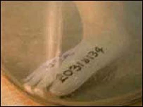 Image result for Alien Foot Real