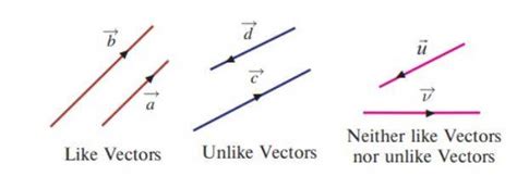 Image result for Types of Vector Drawing