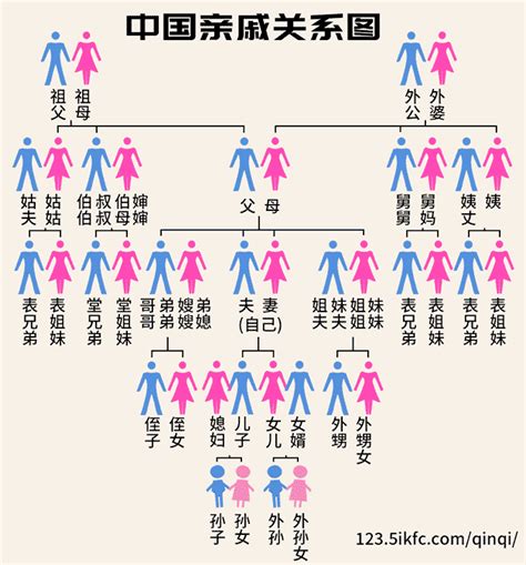 超实用的中国亲戚称谓导图，赶紧收藏免得喊错！|收藏|称谓|亲戚_新浪新闻