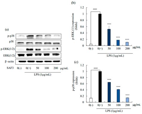 Fucoidan from Sargassum autumnale Inhibits Potential Inflammatory ...