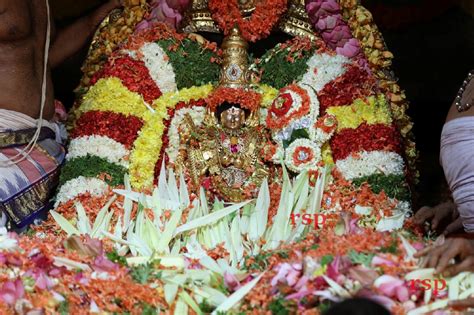 Grand Pushpa Yagam at Padmavati Ammavari Temple - rspnetwork.in