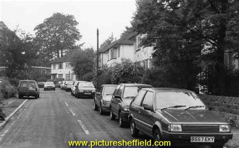 Searching Picture Sheffield