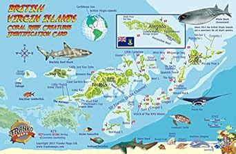 British Virgin Islands Dive Map & Coral Reef Creatures Guide Franko ...